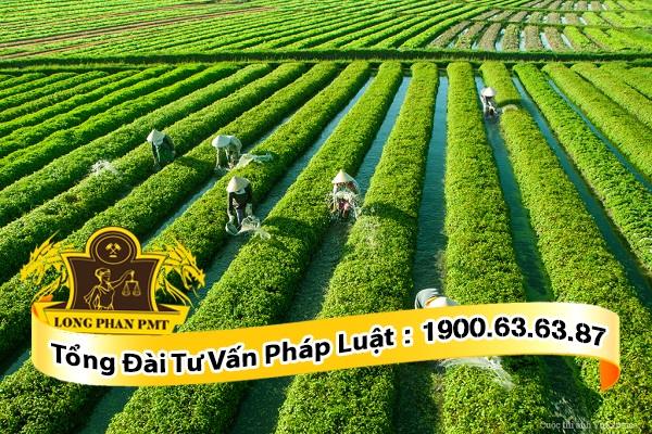 thủ tục để lập dự án sản xuất nông nghiệp