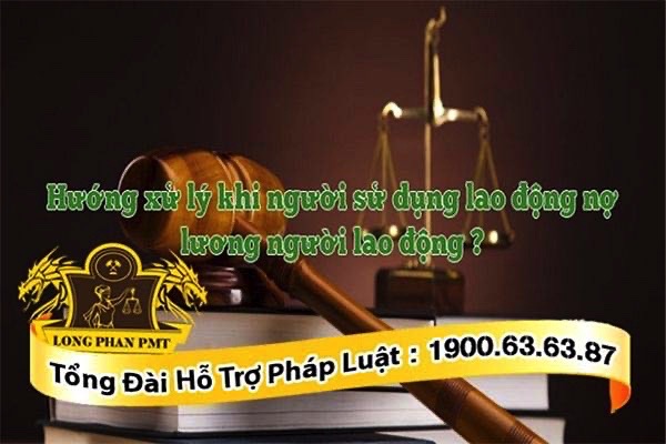Hướng xử lý khi người lao động bị nợ lương