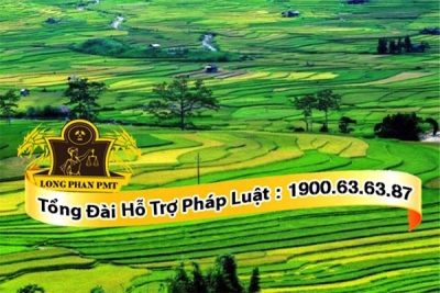 Thủ tục chuyển nhượng quyền sử dụng đất