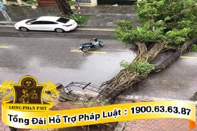 xác định lỗi gây thiệt hại