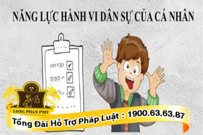 Người bị hạn chế năng lực hành vi dân sự