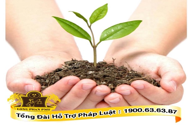 Thẩm quyền công bố hợp quy đối với sản phẩm phân bón