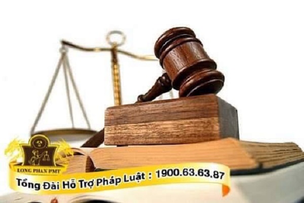 cac-truong-hop-quyet-dinh-dinh-chi