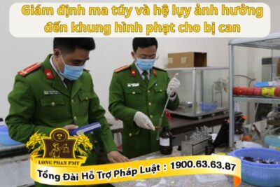 Giám định ma túy và hệ lụy của nó