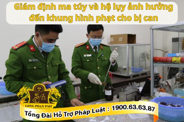 Giám định ma túy và hệ lụy của nó