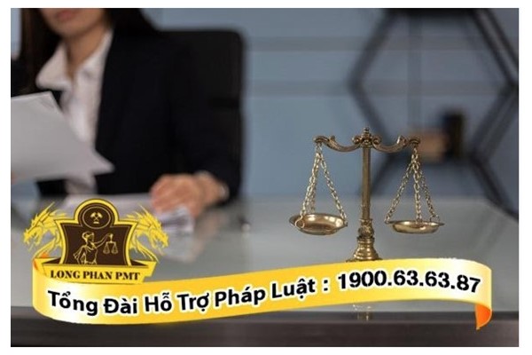 quy trình tiếp nhận và cung cấp dịch tại luật long phan pmt