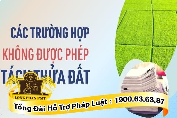 Các trường hợp không thể tách thửa đất