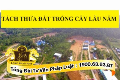 Hướng dẫn cách tách thửa đất trồng cây lâu năm