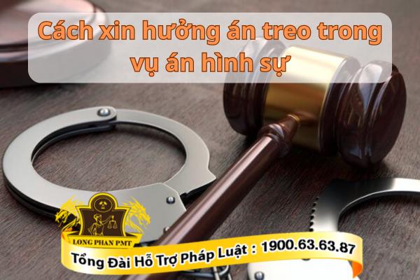 Xin hưởng án treo trong vụ án hình sự 
