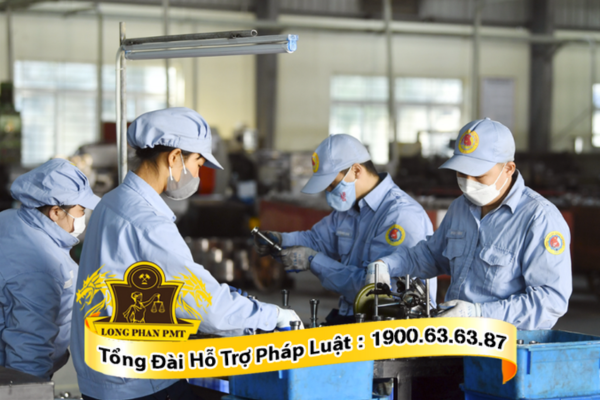Dịch vụ luật sư hỗ trợ về lao động và chính sách, phúc lợi cho nhân viên