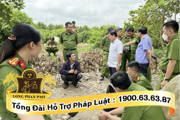 Quyết định thực nghiệm điều tra