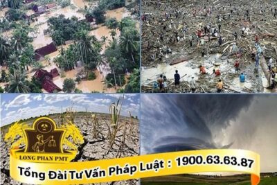 Yếu tố loại trừ rủi ro trong hợp đồng có xem là tình huống bất khả kháng?