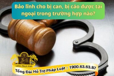 Các trường hợp được bảo lĩnh