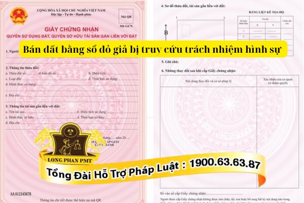 Bán đất bằng sổ giả bị truy cứu trách nhiệm hình sự theo quy định