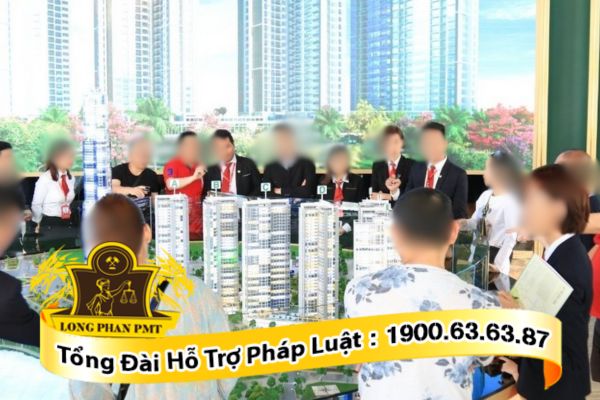 Các hợp đồng mà công ty môi giới được ký