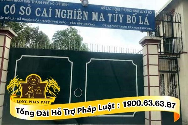 Cơ sở cai nghiện ma túy
