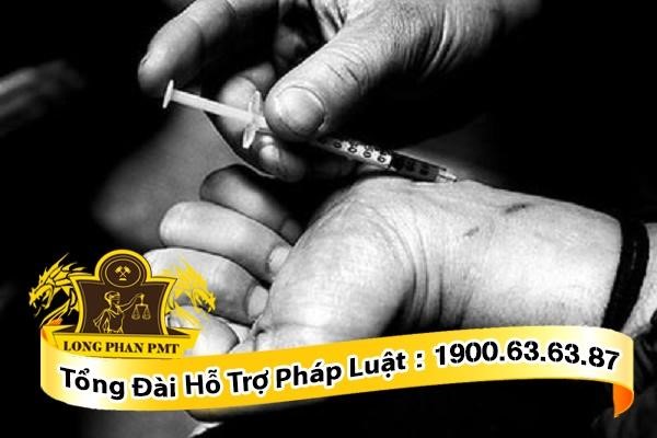 Người sử dụng lần đầu sử dụng ma túy không phải là tội phạm