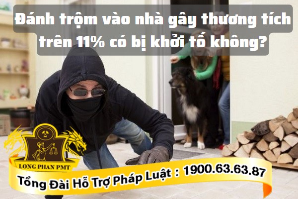 Đánh trộm vào nhà gây thương tích trên 11%