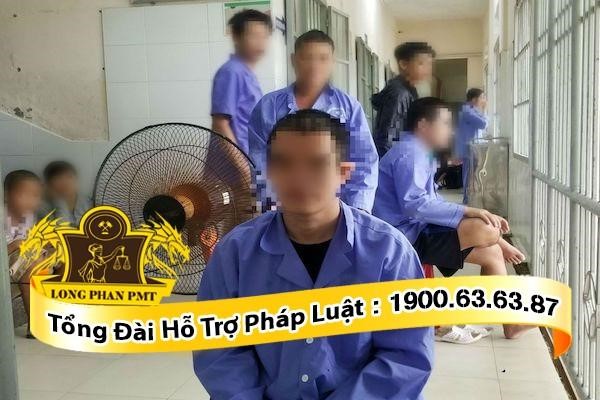 Khởi kiện người giám hộ của người tâm thần