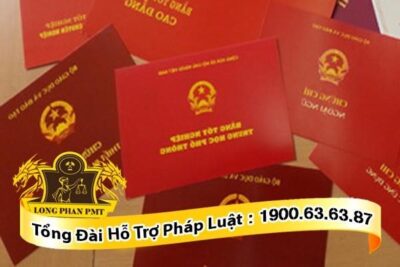 Sử dụng bằng cấp giả đi xin việc