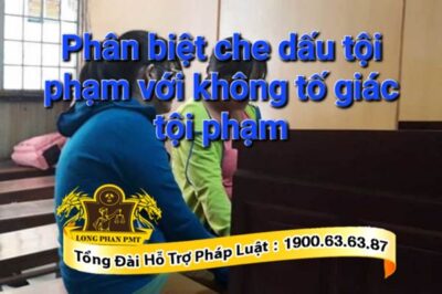 Phân biệt che giấu tội phạm với không tố giác tội phạm