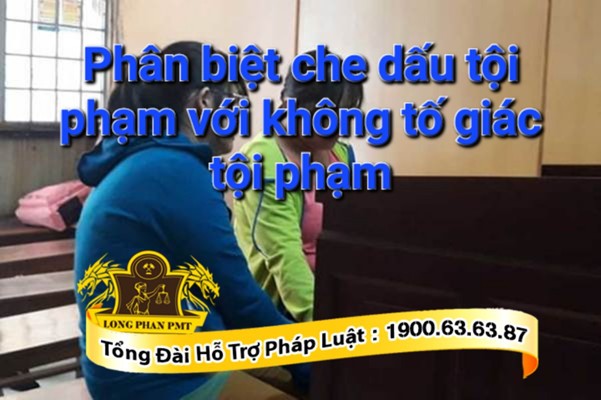 Phân biệt che giấu tội phạm với không tố giác tội phạm