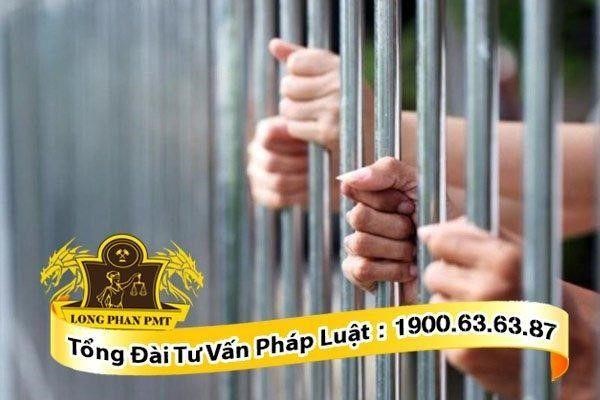 Xử lý phạt tù người trồng cây thuốc phiện, cần sa