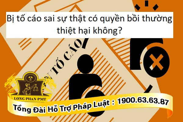 Tố cáo sai sự thật