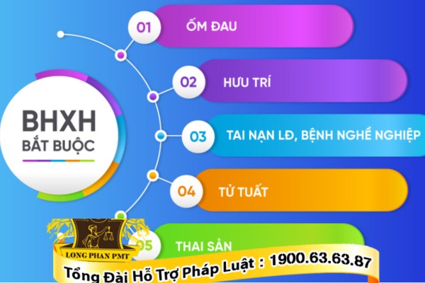 Các trường hợp cần có hồ sơ khám giám định lần đầu