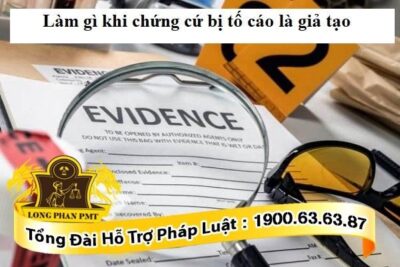 Chứng cứ bị tố cáo là giả tạo