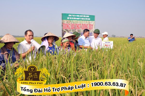 Hộ gia đình