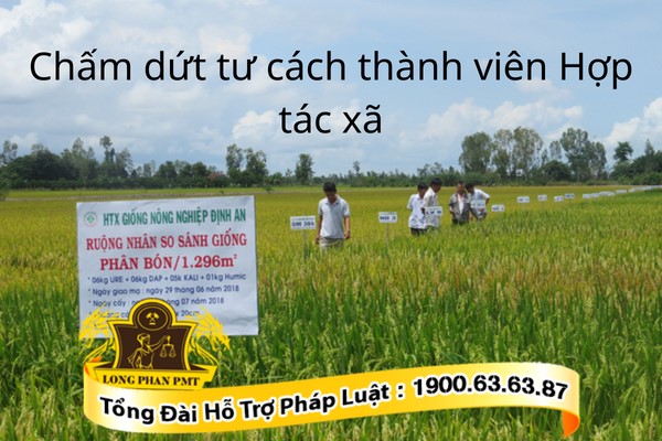Hợp tác xã nông nghiệp