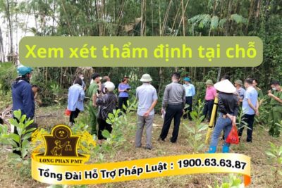 Thẩm định tại chỗ