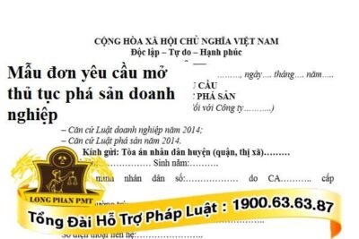 Đơn yêu cầu mở thủ tục phá sản doanh nghiệp