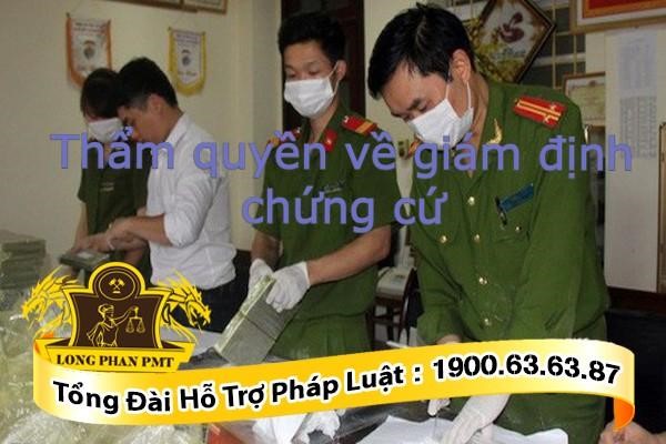 Thẩm quyền về giám định chứng cứ