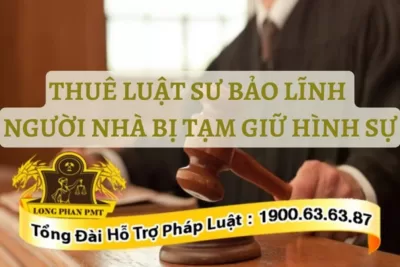 Bảo lĩnh người bị tạm giữ hình sự