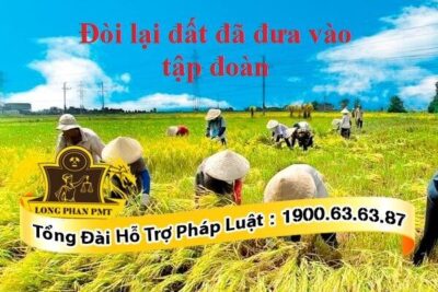 Đất đã đưa vào tập đoàn