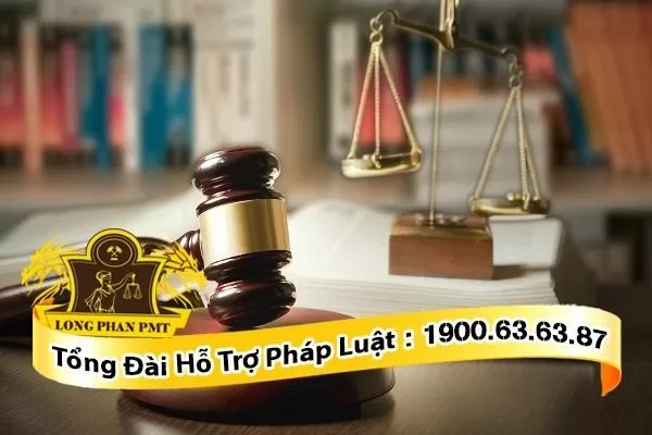 Luật sư bảo lĩnh người bị tạm giữ, tạm giam