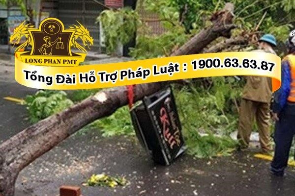 Người tiến hành thi công gây thiệt hại