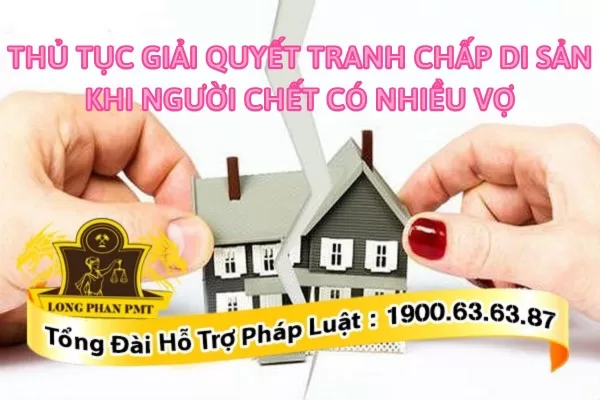 Tranh chấp di sản thừa kế khi người chết có nhiều vợ
