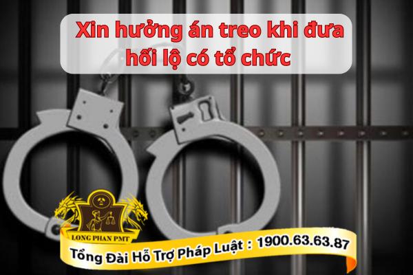 Cách xin hưởng án treo tội đưa hối lộ có tổ chức
