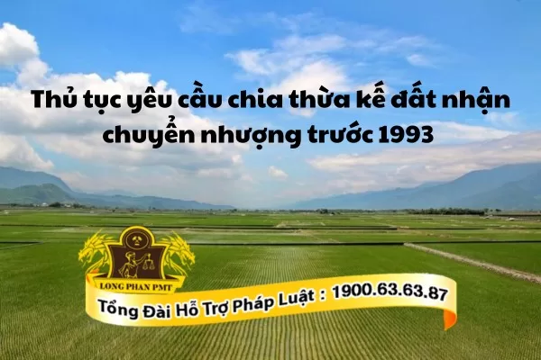 Yêu cầu chia thừa kế đất nhận chuyển nhượng trước 1993