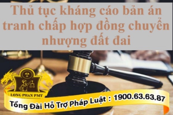 Kháng cáo bản án tranh chấp hợp đồng chuyển nhượng đất đai