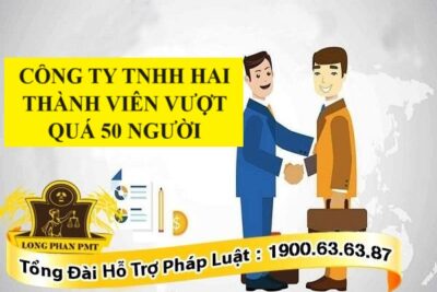 Công ty TNHH hai thành viên trở lên vượt quá 50 người