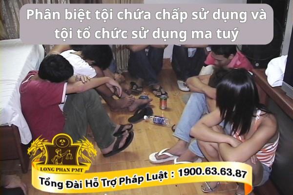 Sự khác nhau giữa tội chứa chấp và tổ chức sử dụng ma túy