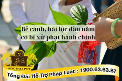 Bẻ cành, hái lộc có bị xử phạt không