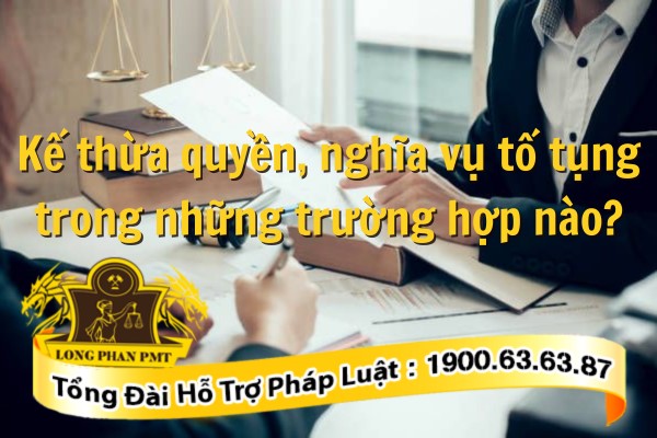 Thừa kế quyền, nghĩa vụ tố tụng dân sự
