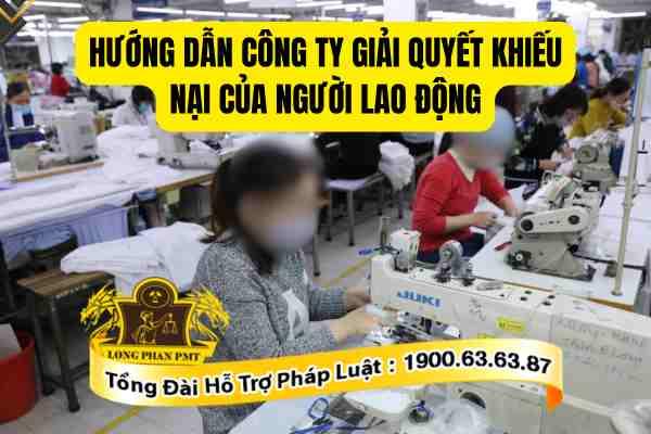 Hướng dẫn công ty giải quyết khiếu nại của người lao động đúng pháp luật