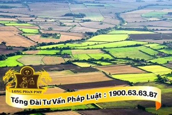 Quyền bề mặt được xác lập như thế nào?