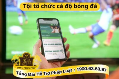 Tội tổ chức cá độ bóng đá